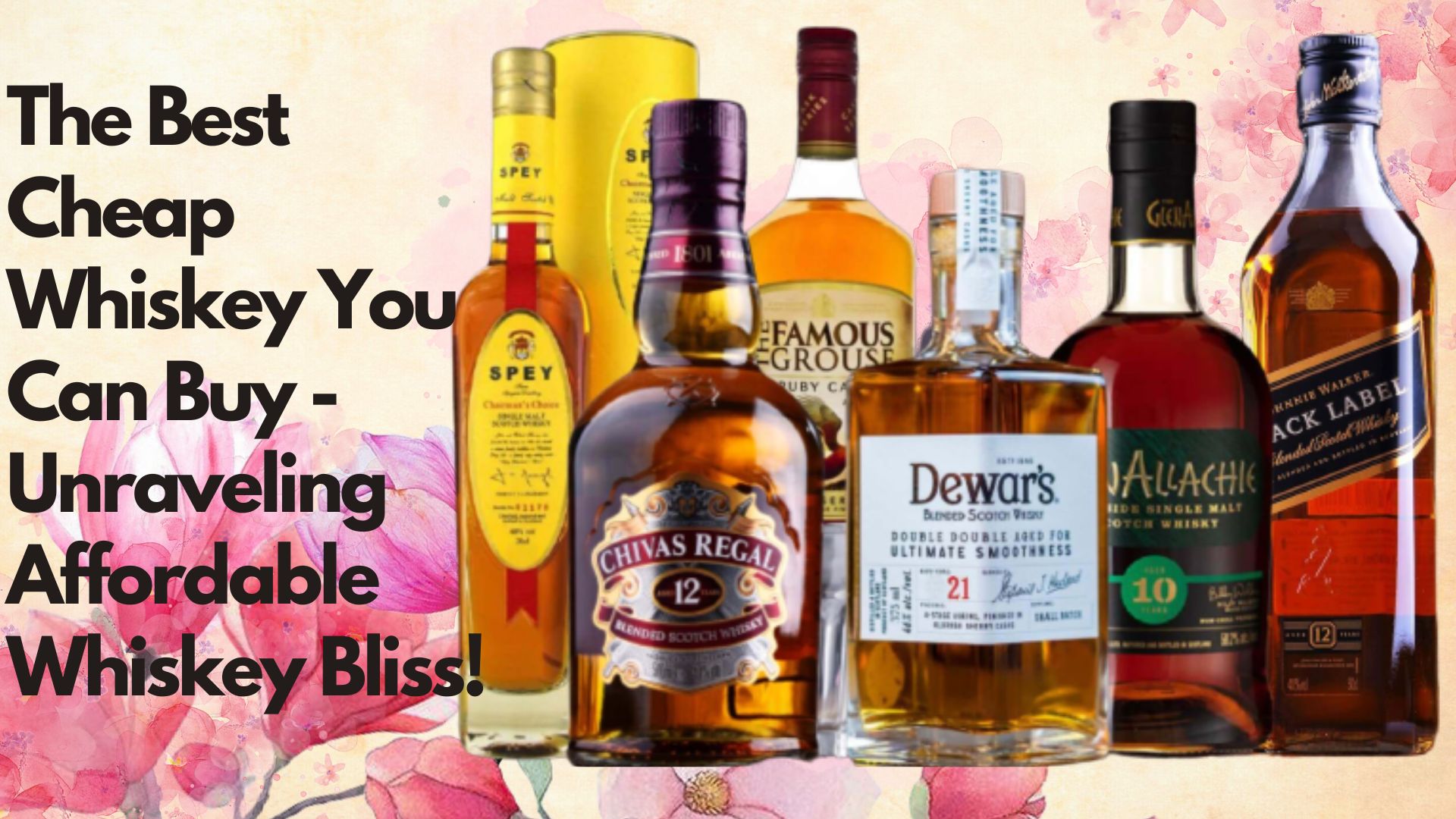 🥃 The Best Cheap Whiskey You Can Buy - Unraveling Affordable Whiskey Bliss! 🤑💥
